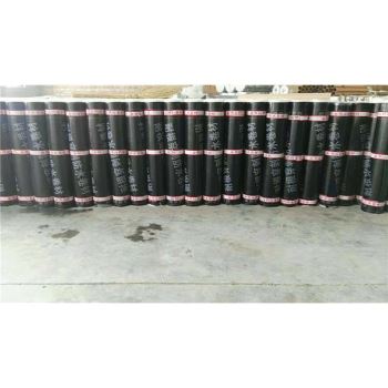 耐根穿刺SBS防水卷材